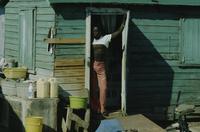Kid, tomatoes and laundry, Haitian Village [shantytown]