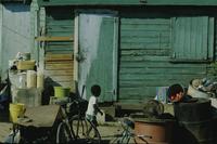 Kid, tomatoes and laundry, Haitian Village [shantytown]