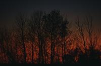 Crescent moon at sunset - vivid reds