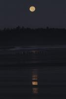 Moonset over ocean at dawn