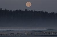 Moonset over ocean at dawn