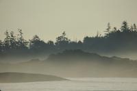 Dawn mists at Wickaninnish Beach