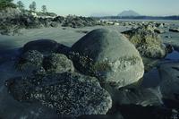 Rocks on island