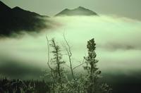 Mountains, sunlight and mist near Haines 