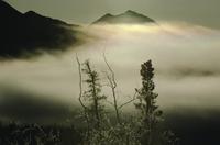 Mountains, sunlight and mist near Haines 