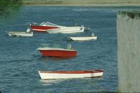 Red and white boats