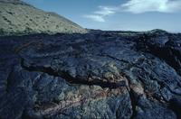 Baho-hoe (ropey lava) at Sullivan Bay