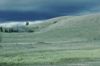 Landscape of pale green rolling hills with dark sky