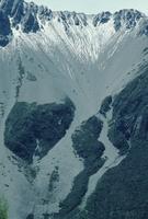 Glacier landscapes