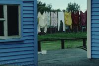 Laundry in backyard between two blue houses