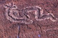 Petroglyphs, west coast