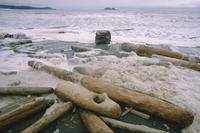 Driftwood in Foam at Florencia Bay