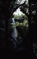 Bridal Veil Falls (Waireinga)