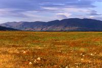 Cloud patterns and mountains, sunset light, red gold and brown field with white stones
