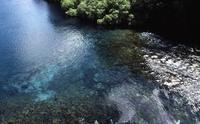 Turquoise river from bridge