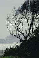 Viiewpoint over Tasman Sea