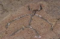 Petroglyphs  