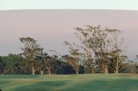 Sunrise on golf course
