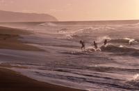 Surfers and sunset light