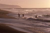 Surfers and sunset light