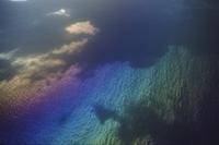 Rainbows over the Pacific  