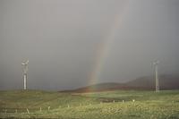 Rainbow near Waimea