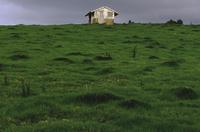 Funky house, green pasture