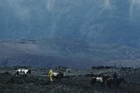 Horses and riders seen on solo trip through Haleakala crater