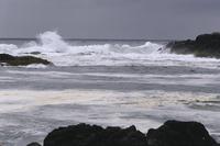 Dramatic surf at Wickaninnish Bay