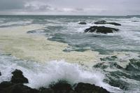 Dramatic surf at Wickaninnish Bay
