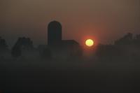 Golden sunrise on farm