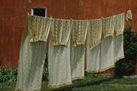 Curtains on clothesline; barn in background