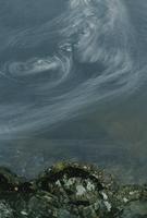 Whirlpool with face in rock, Lynn Canyon