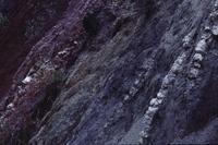 Mauve and purple rock patterns on road