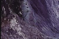 Mauve and purple rock formations