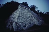 Scenes of Palenque