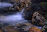 Close-ups of stream with colourful rocks