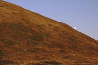 Moon rolling down the hill at Goat Rock