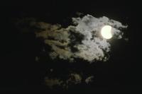 Moon and mythical cloud shapes