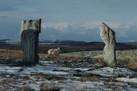 Callanish stones, ice and snow