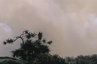 Smoke from forest fires