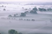 Mists of Avalon and Tor