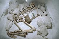 Beaker" skeleton in Salisbury Museum