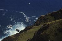 Steep cliff and ocean, Easter Island