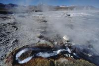 Northern thermal area