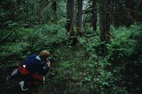 Photographer in forest at Khutzeymateen Provincial Park