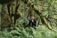 Photographer with moss covered trees, ferns : Khutzeymateen Provincial Park