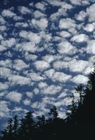 Mottled clouds over Khutzeymateen Provincial Park