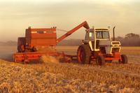 Harvesting on Ray Milne farm at sunset