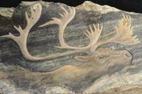 Rock paintings of Natalie Rostad